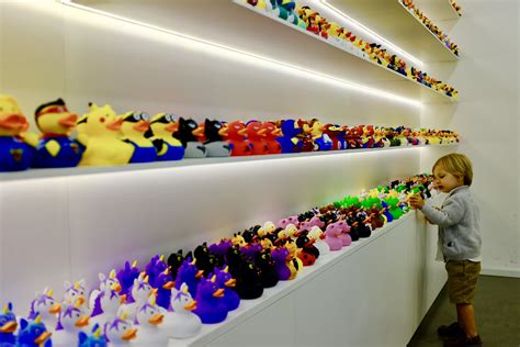 The duck store - 